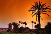 Marrakech City Tour