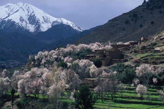 Atlas Mountains