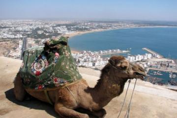 Agadir Shore Excursion