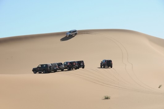 Desert Tours
