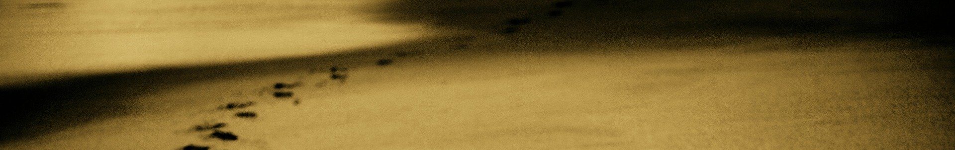 Share your Travel Experiences