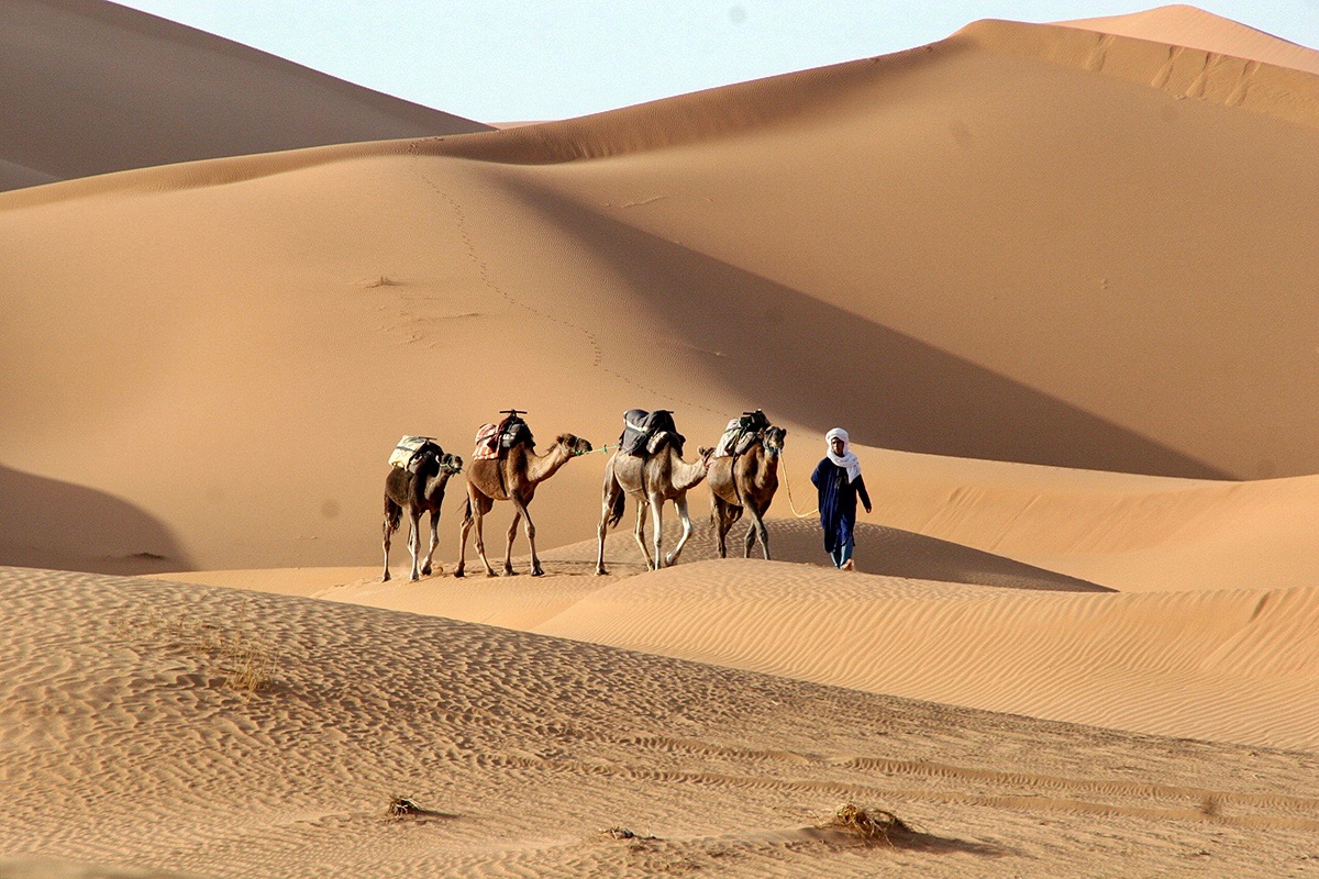tour packages morocco